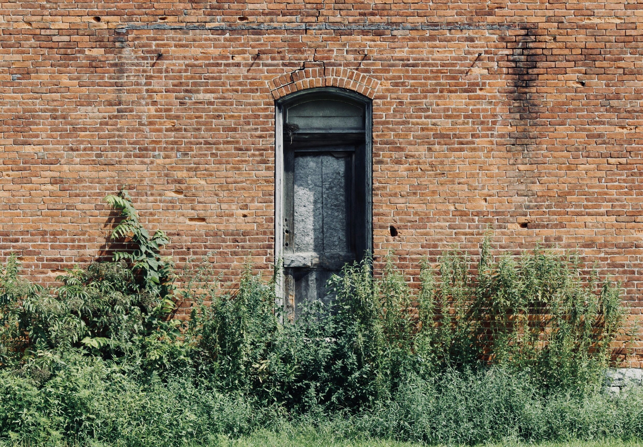 green plants beside brown building